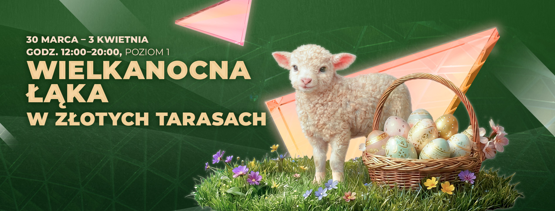 Główny widok galerii